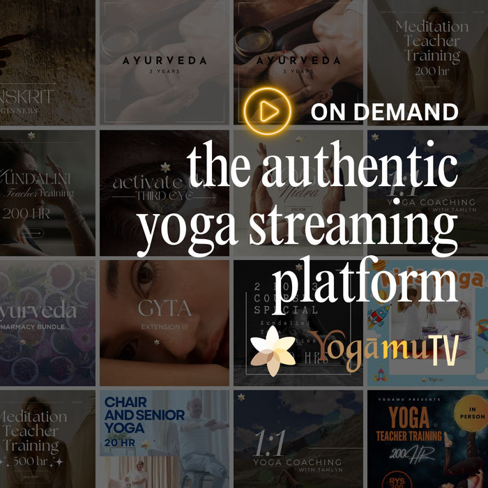 Yogamu TV - All Video